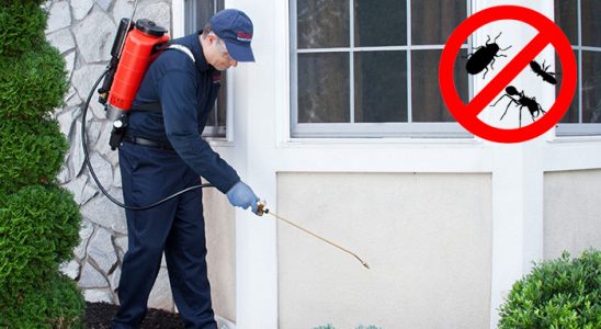 Ayrancılar Dezenfeksiyon böcek ilaçlama ve haşere kontrolü — ilaclama-tr.com